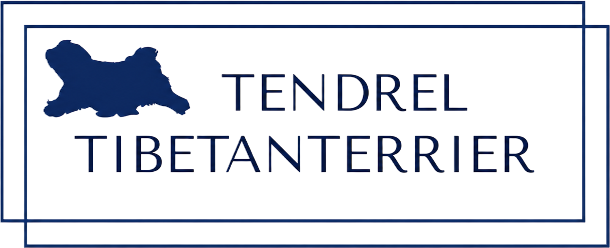 TENDREL TIBETANTERRIER